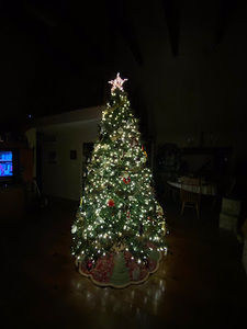 Meet your Posher, Jen